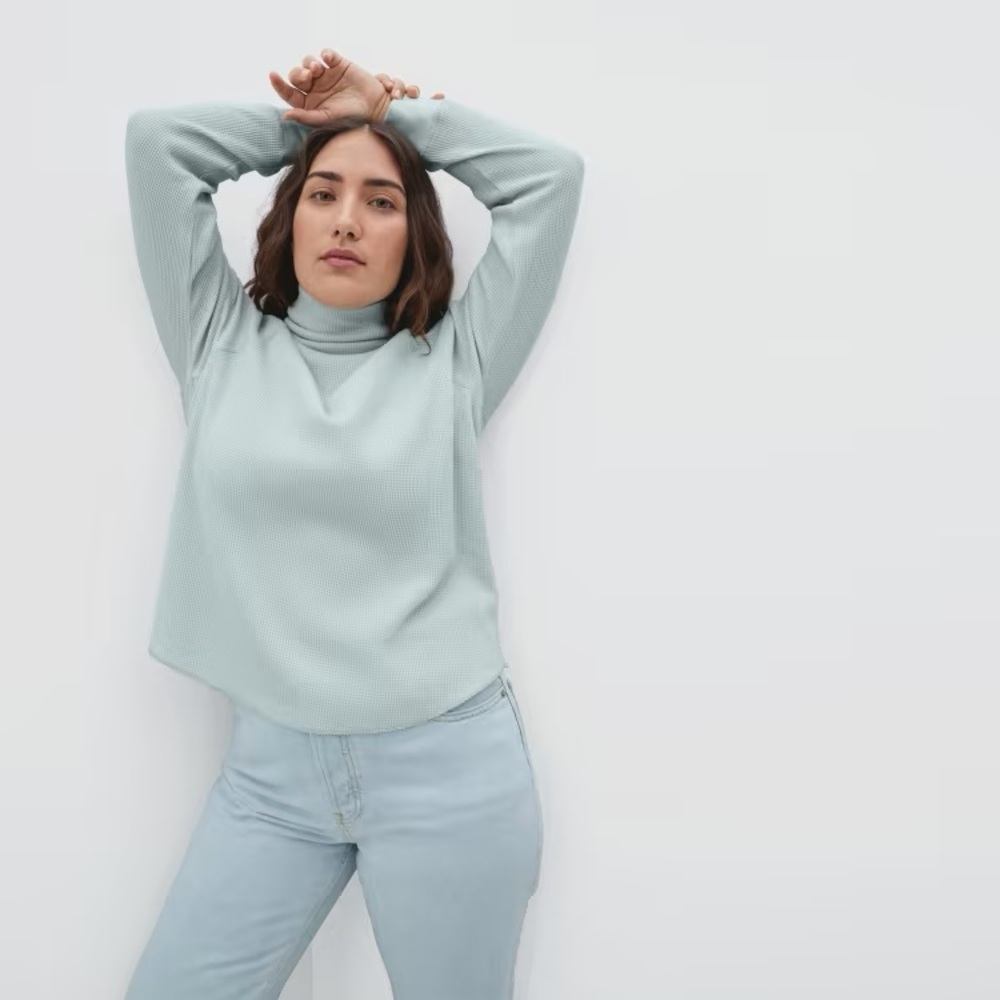 Everlane Organic Cotton Turtleneck Waffle Tee in Ice Blue